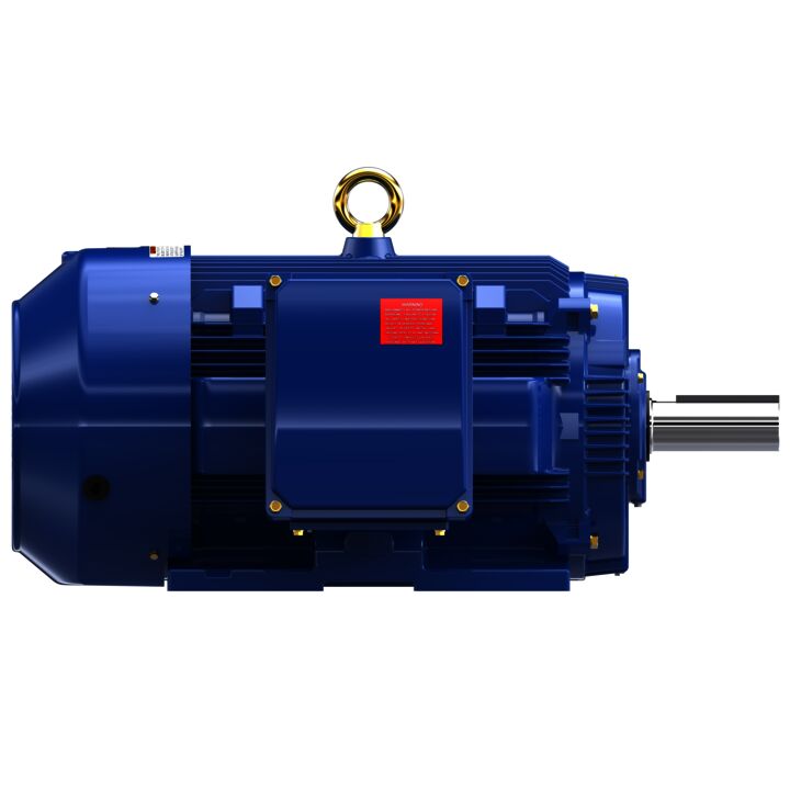 Severe Duty Motor, 200 HP, 3 Ph, 60 Hz, 460 V, 1800 RPM, 445T Frame, TEFC