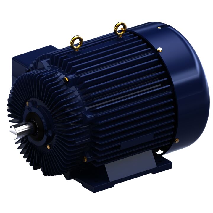 Other Purpose Motor, 125 & 100 HP, 3 Ph, 60 & 50 Hz, 460 & 380 V, 3600 & 3000 RPM, 444TS Frame, TEFC