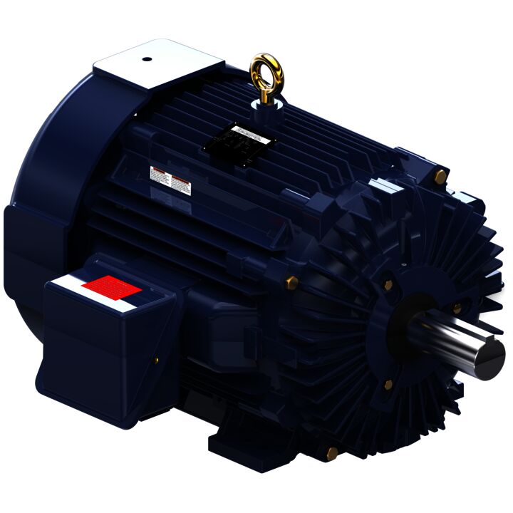 General Purpose Motor, 100 & 75 HP, 3 Ph, 60 & 50 Hz, 460 & 380 V, 900 & 750 RPM, 445T Frame, TEFC