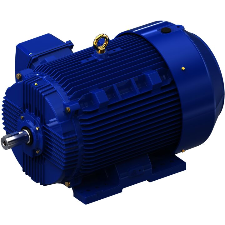 Severe Duty Motor, 150 HP, 3 Ph, 60 Hz, 460 V, 1800 RPM, 445TS Frame, TEFC