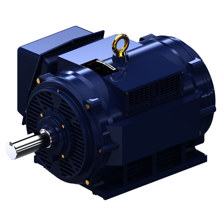 General Purpose Motor, 100 & 75 HP, 3 Ph, 60 & 50 Hz, 230/460 & 190/380 V, 1200 & 1000 RPM, 444T Frame, DP