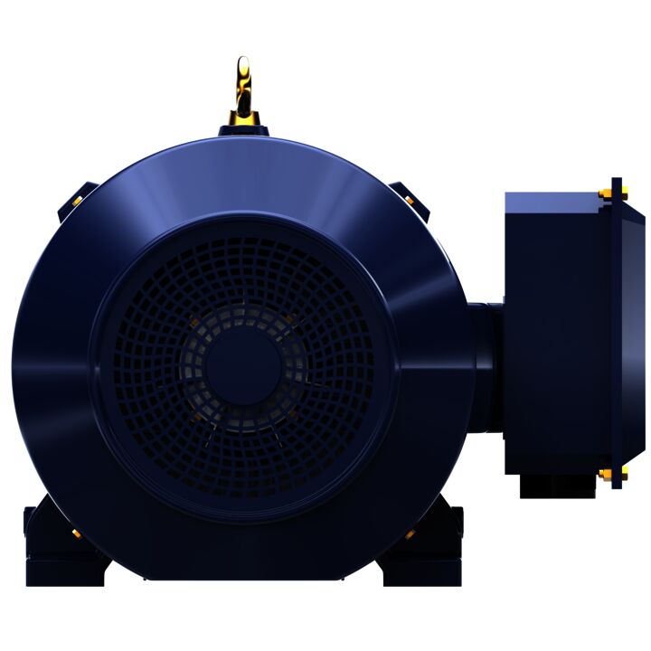 General Purpose Motor, 150 & 125 HP, 3 Ph, 60 & 50 Hz, 460 & 380 V, 3600 & 3000 RPM, 445TS Frame, TEFC