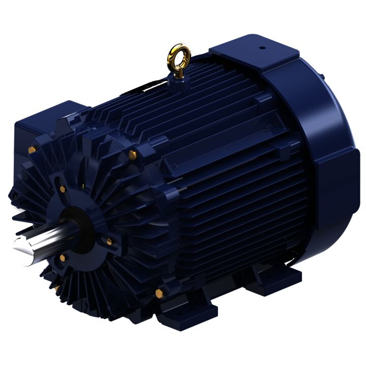 General Purpose Motor, 75 & 60 HP, 3 Ph, 60 & 50 Hz, 460 & 380 V, 900 & 750 RPM, 444T Frame, TEFC