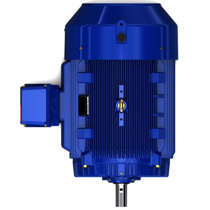 Severe Duty Motor, 125 HP, 3 Ph, 60 Hz, 460 V, 1800 RPM, 444TS Frame, TEFC