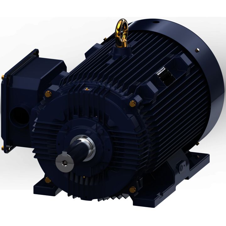 General Purpose Motor, 150 & 125 HP, 3 Ph, 60 & 50 Hz, 460 & 380 V, 1200 & 1000 RPM, 445T Frame, TEFC