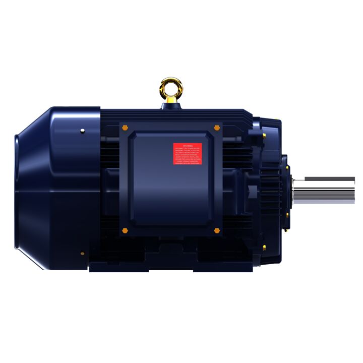 General Purpose Motor, 150 & 125 HP, 3 Ph, 60 & 50 Hz, 460 & 380 V, 1800 & 1500 RPM, 445T Frame, TEFC