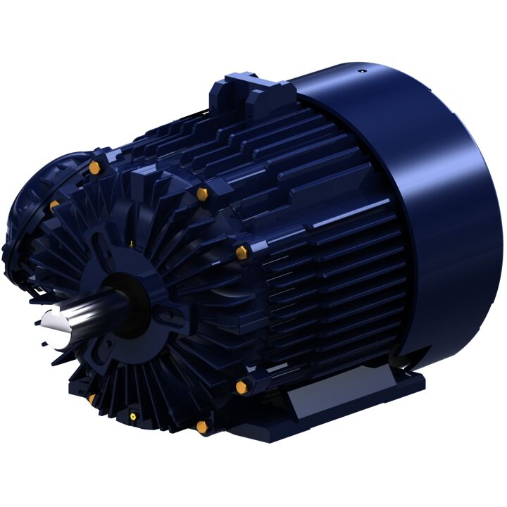 Explosion Proof Motor, 125 HP, 3 Ph, 60 Hz, 460 V, 1200 RPM, 445T Frame, EPFC