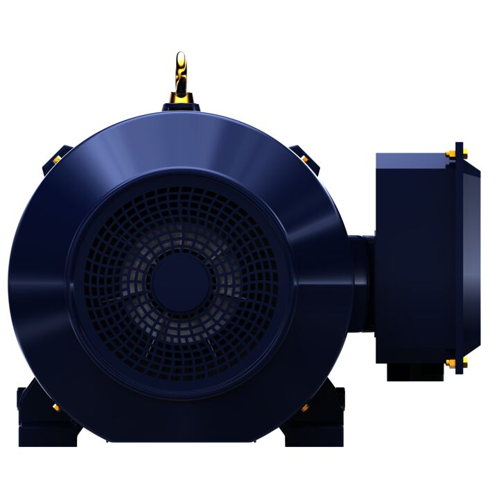 General Purpose Motor, 125 & 100 HP, 3 Ph, 60 & 50 Hz, 460 & 380 V, 1800 & 1500 RPM, 444TSC Frame, TEFC