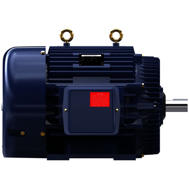 Other Purpose Motor, 125 & 100 HP, 3 Ph, 60 & 50 Hz, 460 & 380 V, 3600 & 3000 RPM, 444TS Frame, TEFC