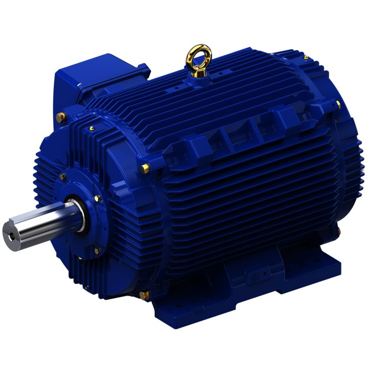 General Purpose Motor, 125 & 100 HP, 3 Ph, 60 & 50 Hz, 460 & 380 V, 1800 & 1500 RPM, 444TV Frame, TEAO