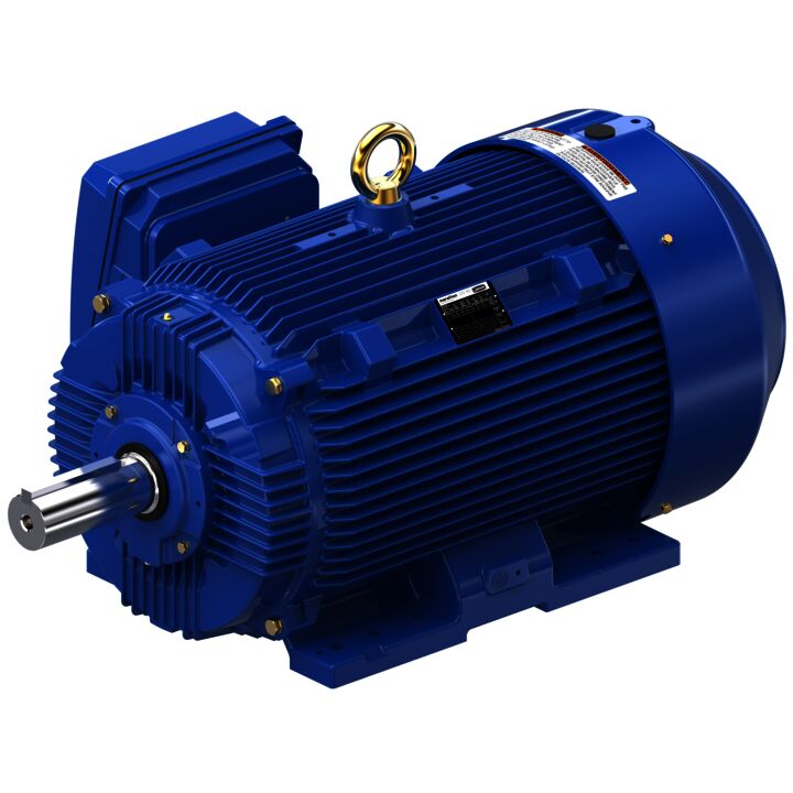 Severe Duty Motor, 150 HP, 3 Ph, 60 Hz, 460 V, 1200 RPM, 445T Frame, TEFC