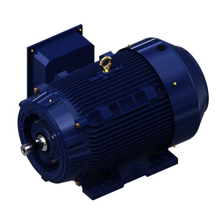 General Purpose Motor, 125 & 100 HP, 3 Ph, 60 & 50 Hz, 460 & 380 V, 1800 & 1500 RPM, 444TSC Frame, TEFC