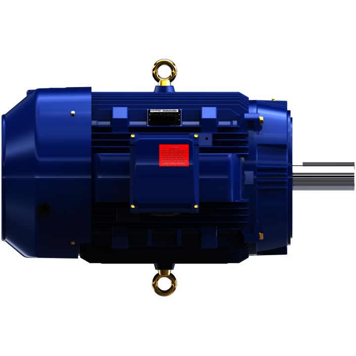 Severe Duty Motor, 200 HP, 3 Ph, 60 Hz, 460 V, 1800 RPM, 445TCV Frame, TEFC