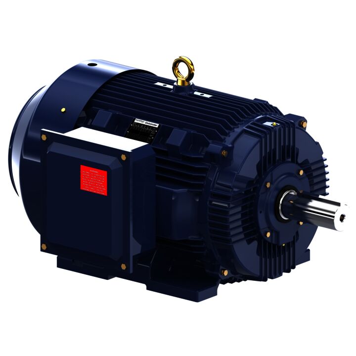 General Purpose Motor, 100 & 75 HP, 3 Ph, 60 & 50 Hz, 230/460 & 190/380 V, 900 & 750 RPM, 445T Frame, TEFC