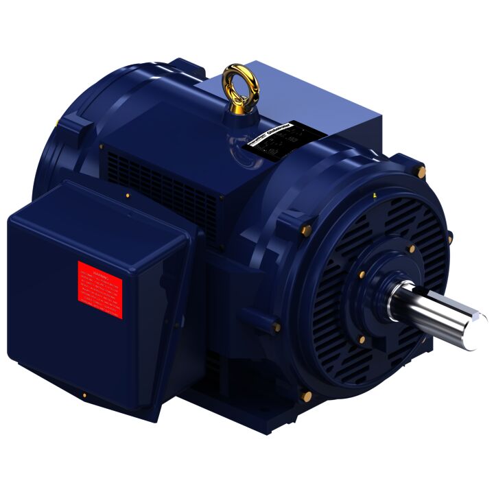 General Purpose Motor, 100 & 75 HP, 3 Ph, 60 & 50 Hz, 230/460 & 190/380 V, 1200 & 1000 RPM, 444T Frame, DP