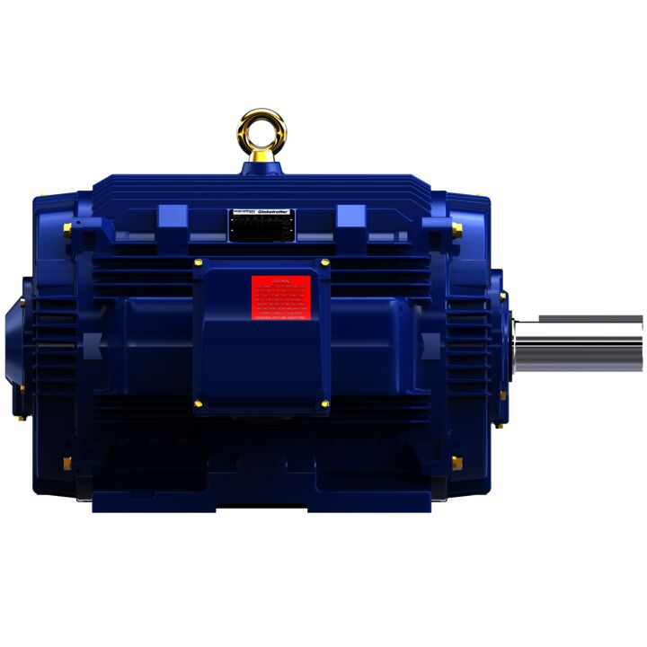 General Purpose Motor, 125 & 100 HP, 3 Ph, 60 & 50 Hz, 460 & 380 V, 1800 & 1500 RPM, 444TV Frame, TEAO