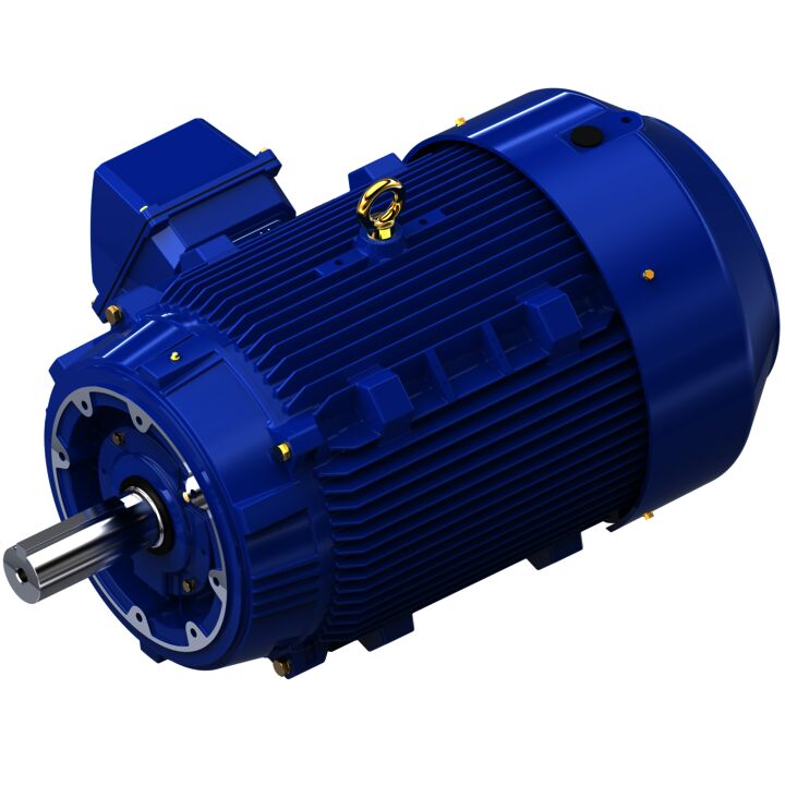 Severe Duty Motor, 200 HP, 3 Ph, 60 Hz, 460 V, 1800 RPM, 445TCV Frame, TEFC