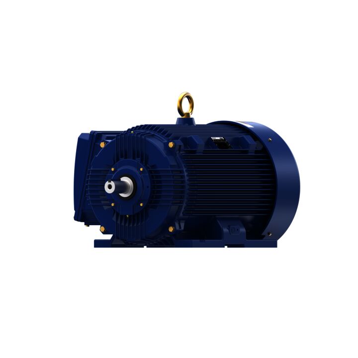 Severe Duty Motor, 200 HP, 3 Ph, 60 Hz, 460 V, 3600 RPM, 445TS Frame, TEFC