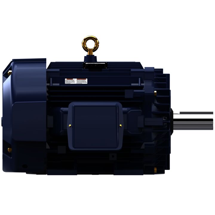 General Purpose Motor, 100 & 75 HP, 3 Ph, 60 & 50 Hz, 460 & 380 V, 900 & 750 RPM, 445T Frame, TEFC