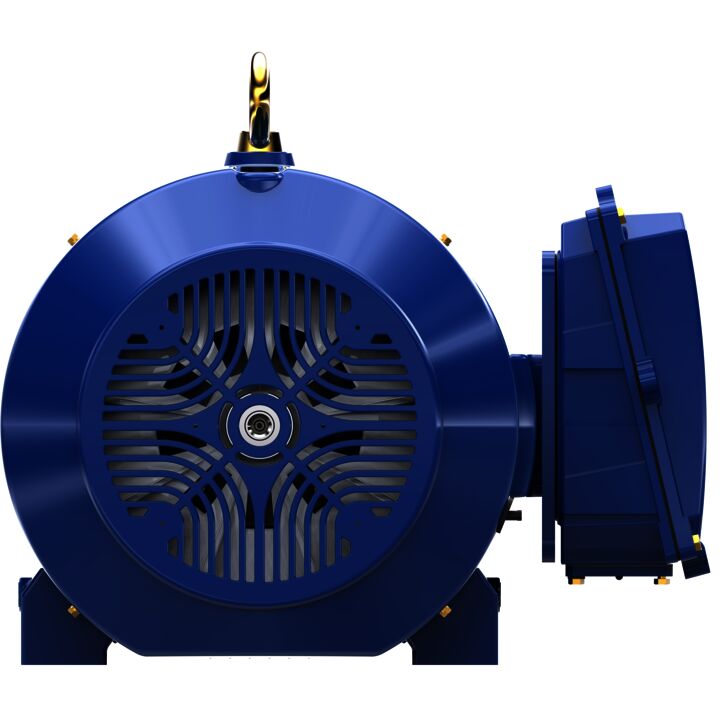 General Purpose Motor, 125 & 100 HP, 3 Ph, 60 & 50 Hz, 460 & 380 V, 900 & 750 RPM, 445T Frame, TEFC