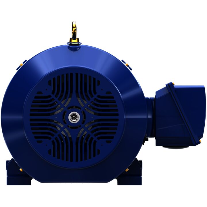 Severe Duty Motor, 150 HP, 3 Ph, 60 Hz, 460 V, 1800 RPM, 445TS Frame, TEFC