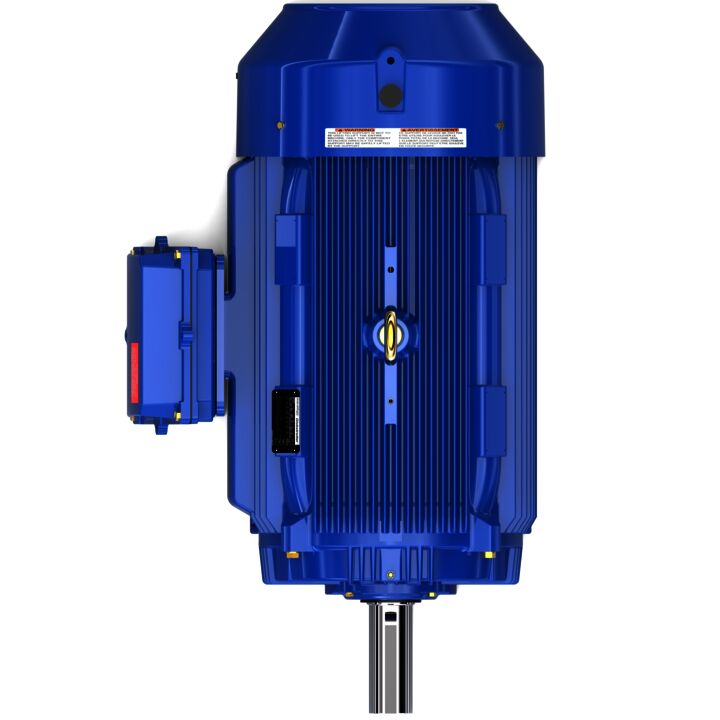 General Purpose Motor, 125 & 100 HP, 3 Ph, 60 & 50 Hz, 460 & 380 V, 900 & 750 RPM, 445T Frame, TEFC