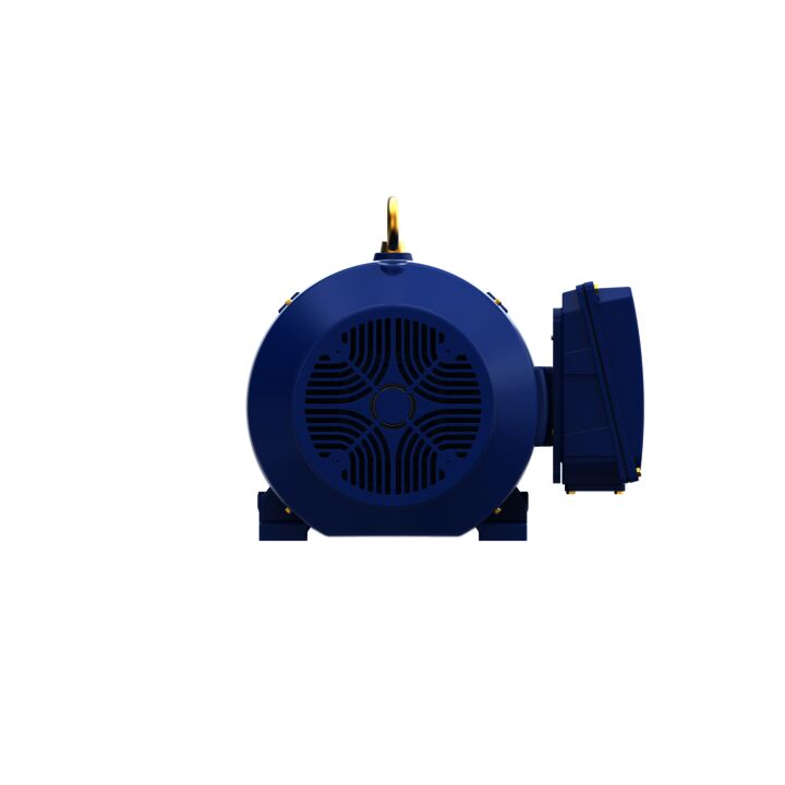 Severe Duty Motor, 200 HP, 3 Ph, 60 Hz, 460 V, 3600 RPM, 445TS Frame, TEFC