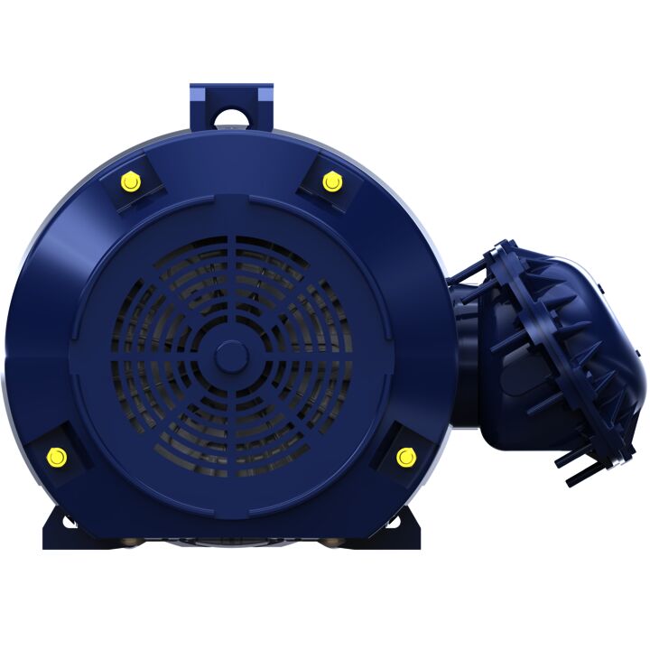 Explosion Proof Motor, 125 HP, 3 Ph, 60 Hz, 460 V, 1200 RPM, 445T Frame, EPFC