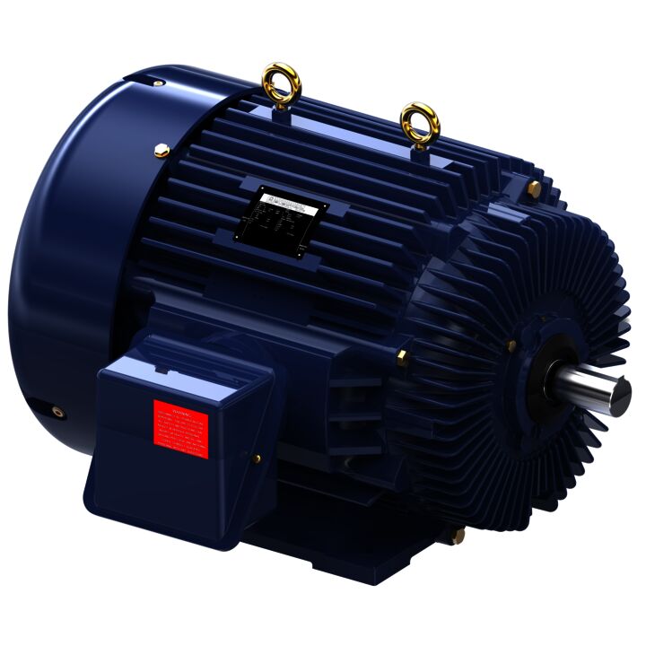 Other Purpose Motor, 125 & 100 HP, 3 Ph, 60 & 50 Hz, 460 & 380 V, 3600 & 3000 RPM, 444TS Frame, TEFC