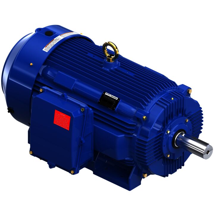 General Purpose Motor, 125 & 100 HP, 3 Ph, 60 & 50 Hz, 460 & 380 V, 900 & 750 RPM, 445T Frame, TEFC