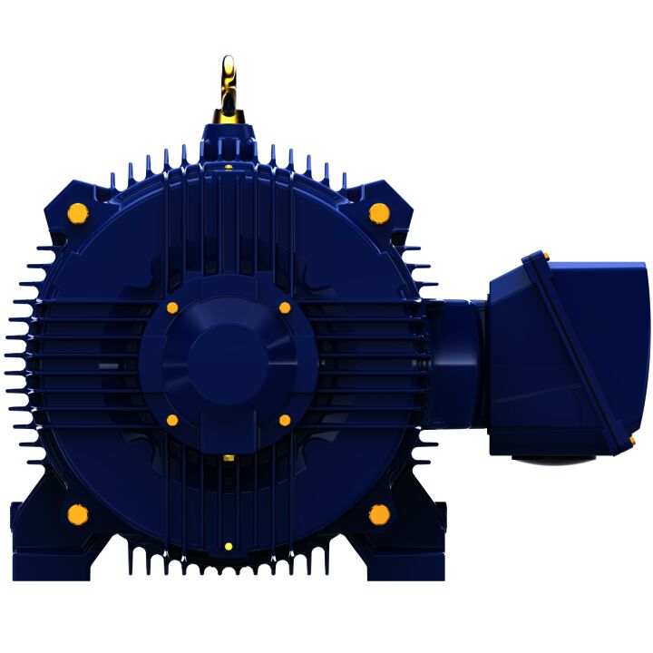 General Purpose Motor, 125 & 100 HP, 3 Ph, 60 & 50 Hz, 460 & 380 V, 1800 & 1500 RPM, 444TV Frame, TEAO