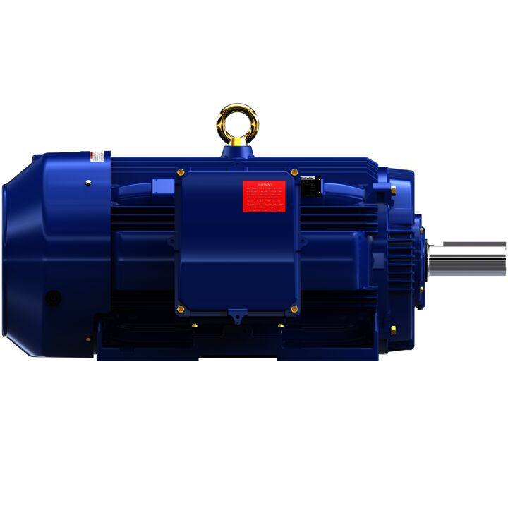 General Purpose Motor, 125 & 100 HP, 3 Ph, 60 & 50 Hz, 460 & 380 V, 900 & 750 RPM, 445T Frame, TEFC