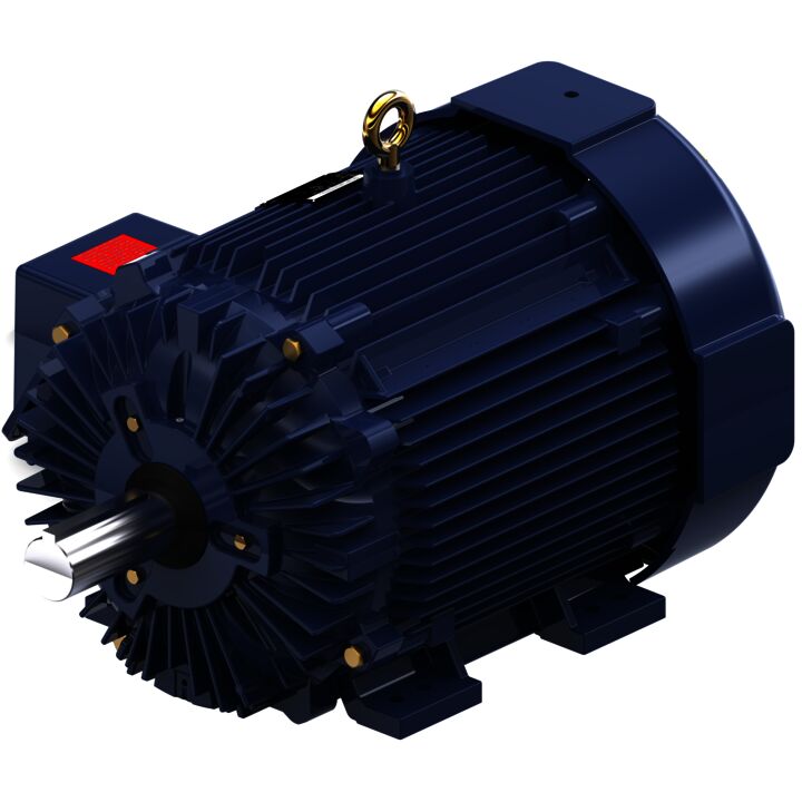 General Purpose Motor, 100 & 75 HP, 3 Ph, 60 & 50 Hz, 460 & 380 V, 900 & 750 RPM, 445T Frame, TEFC