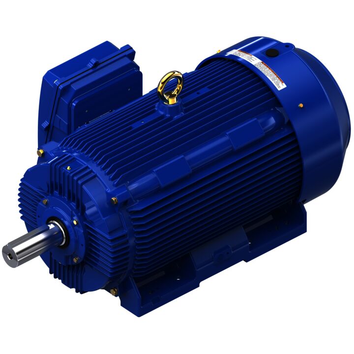 General Purpose Motor, 125 & 100 HP, 3 Ph, 60 & 50 Hz, 460 & 380 V, 900 & 750 RPM, 445T Frame, TEFC