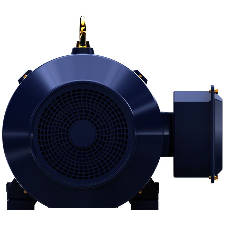 General Purpose Motor, 150 & 125 HP, 3 Ph, 60 & 50 Hz, 460 & 380 V, 1200 & 1000 RPM, 445T Frame, TEFC