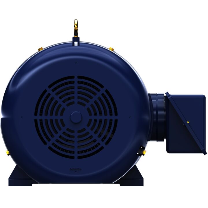 Other Purpose Motor, 125 & 100 HP, 3 Ph, 60 & 50 Hz, 460 & 380 V, 3600 & 3000 RPM, 444TS Frame, TEFC