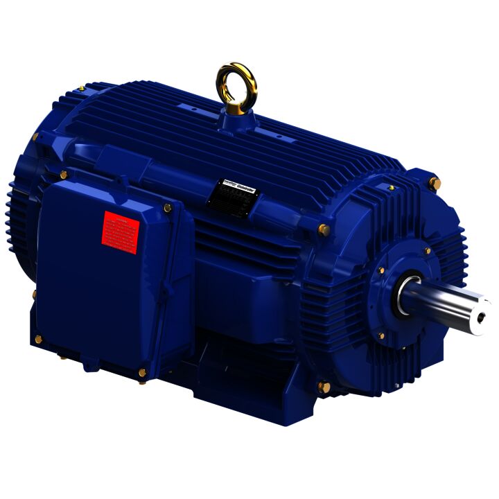 General Purpose Motor, 250 & 200 HP, 3 Ph, 60 & 50 Hz, 460 & 380 V, 1800 & 1500 RPM, 449TV Frame, TEAO