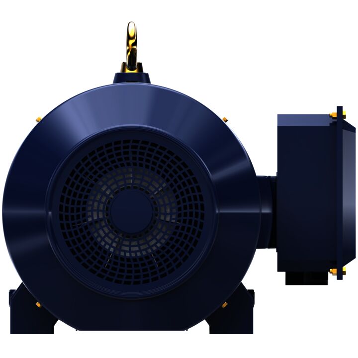 General Purpose Motor, 300 & 250 HP, 3 Ph, 60 & 50 Hz, 460 & 380 V, 3600 & 3000 RPM, 449TS Frame, TEFC