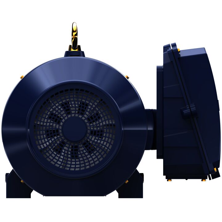 General Purpose Motor, 300 & 250 HP, 3 Ph, 60 & 50 Hz, 460 & 380 V, 1200 & 1000 RPM, 449T Frame, TEFC