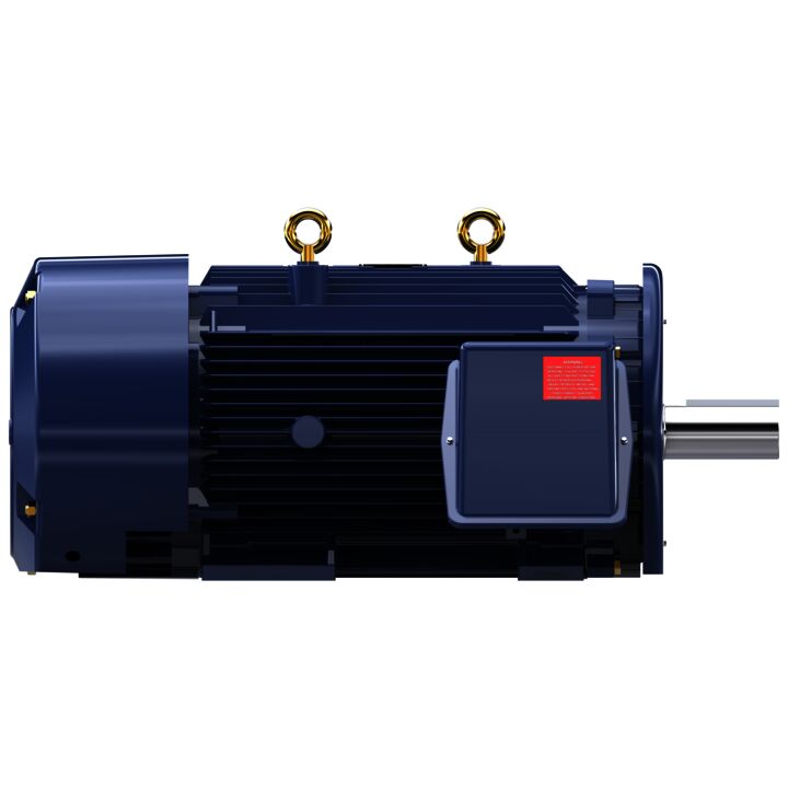 General Purpose Motor, 250 & 200 HP, 3 Ph, 60 & 50 Hz, 460 & 380 V, 900 & 750 RPM, 449TZ Frame, TEFC