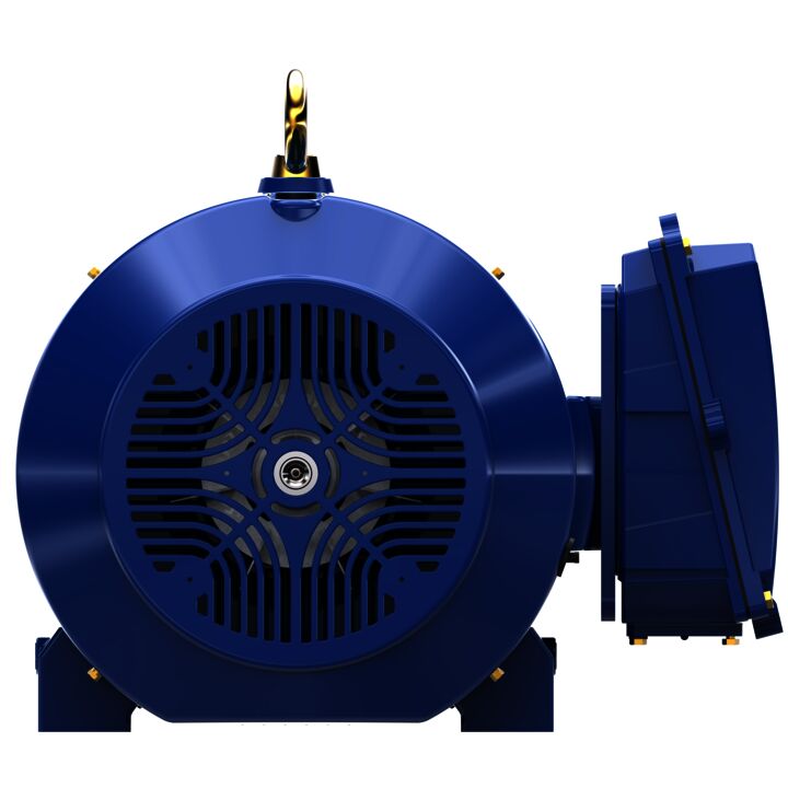 Severe Duty Motor, 250 HP, 3 Ph, 60 Hz, 460 V, 3600 RPM, 449TS Frame, TEFC