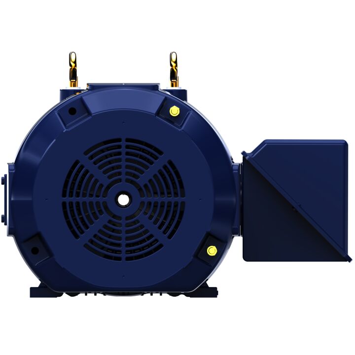 General Purpose Motor, 250 & 200 HP, 3 Ph, 60 & 50 Hz, 460 & 380 V, 1800 & 1500 RPM, 449T Frame, TEFC