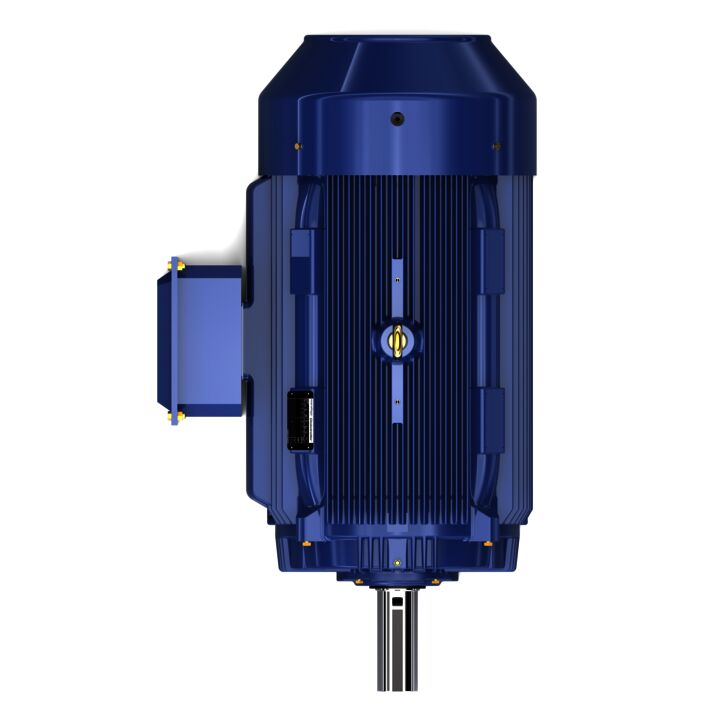 General Purpose Motor, 350 & 300 HP, 3 Ph, 60 & 50 Hz, 460 & 380 V, 1800 & 1500 RPM, 449T Frame, TEFC