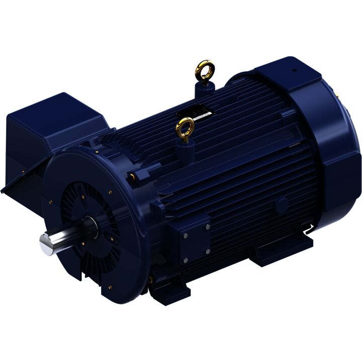 General Purpose Motor, 400 & 300 HP, 3 Ph, 60 & 50 Hz, 460 & 380 V, 1800 & 1500 RPM, 449T Frame, TEFC