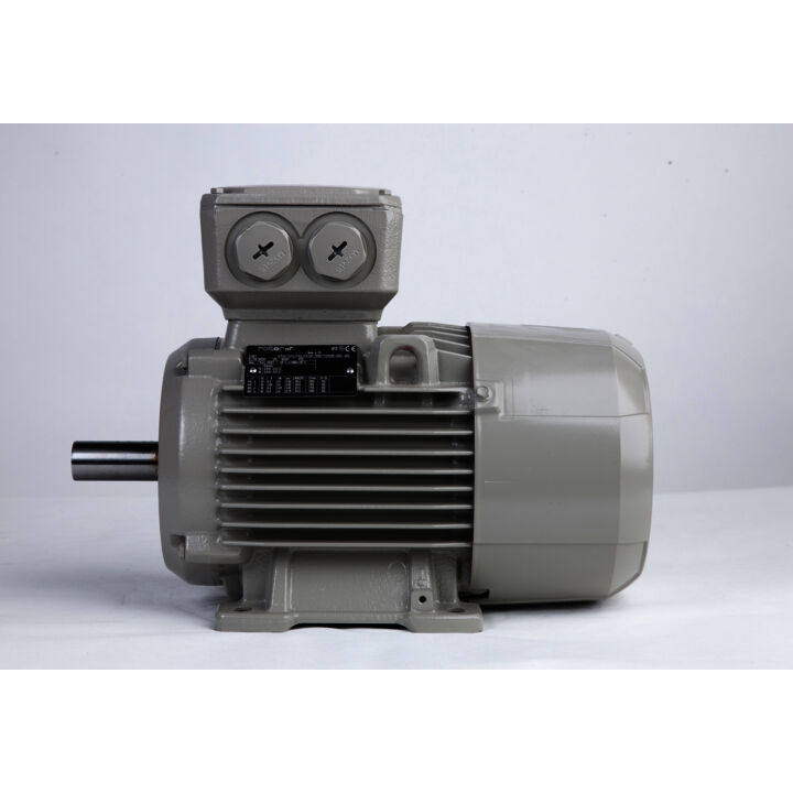 3.00 kW General Purpose Low Voltage IEC Motor IE3, 3 phase, 3000 rpm, D400/Y690V 50Hz, 100L Frame B3, IC411