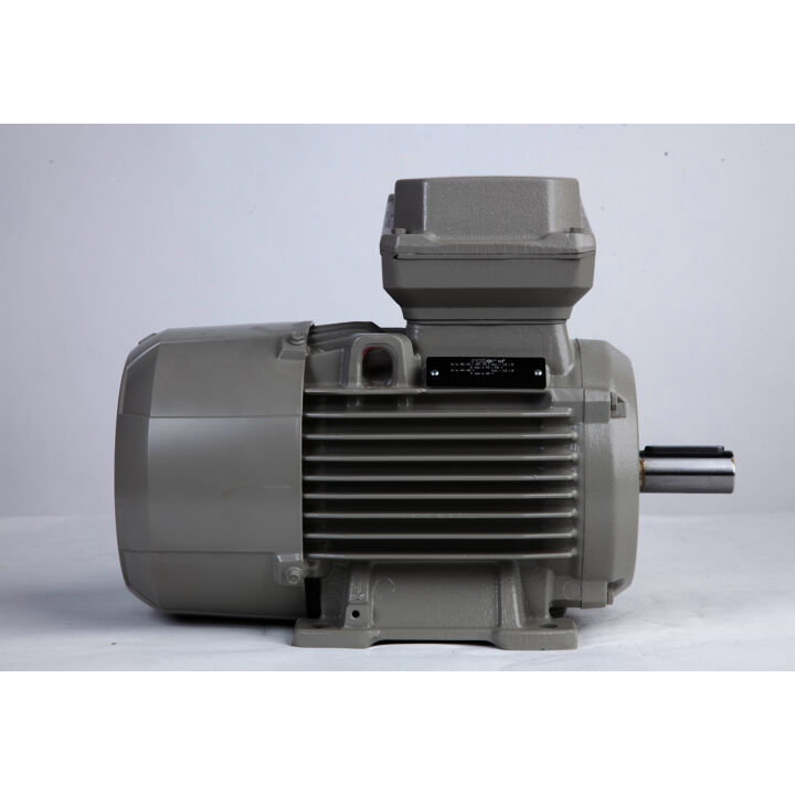 3.00 kW General Purpose Low Voltage IEC Motor IE3, 3 phase, 3000 rpm, D400/Y690V 50Hz, 100L Frame B3, IC411