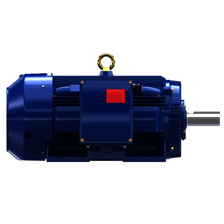 Severe Duty Motor, 200 HP, 3 Ph, 60 Hz, 460 V, 1200 RPM, 449T Frame, TEFC