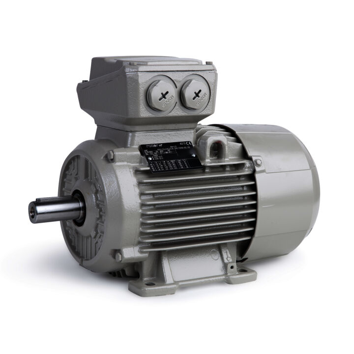 3.00 kW General Purpose Low Voltage IEC Motor IE3, 3 phase, 3000 rpm, D400/Y690V 50Hz, 100L Frame B3, IC411