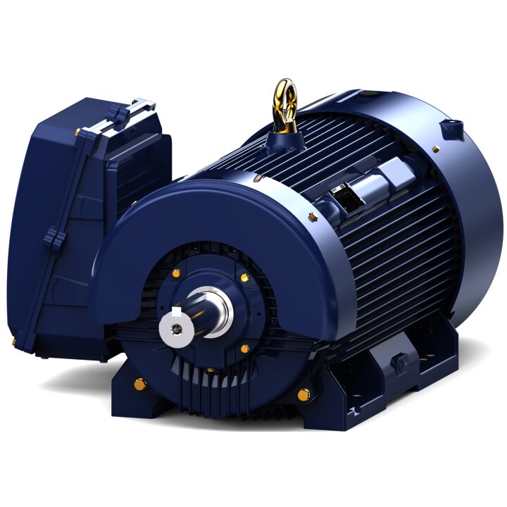 Severe Duty Motor, 300 HP, 3 Ph, 60 Hz, 460 V, 1200 RPM, 449T Frame, TEFC