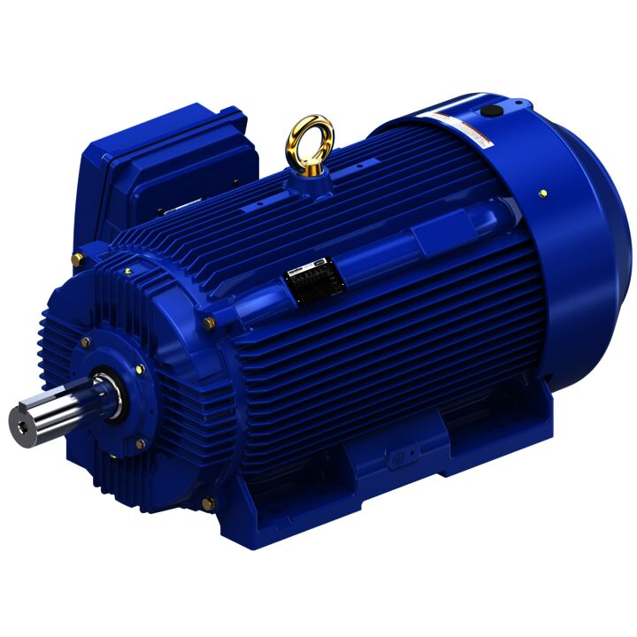 Severe Duty Motor, 200 HP, 3 Ph, 60 Hz, 460 V, 1200 RPM, 449T Frame, TEFC